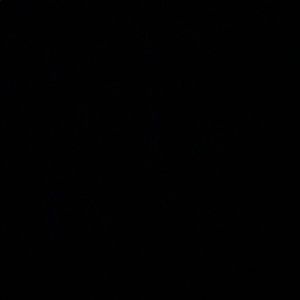 Meet your Posher, Julius